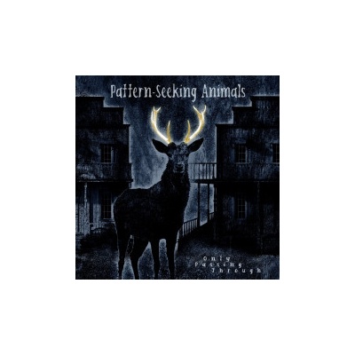 Pattern-Seeking Animals - Only Passing Through LP