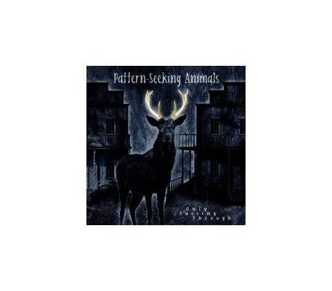 Pattern-Seeking Animals - Only Passing Through LP