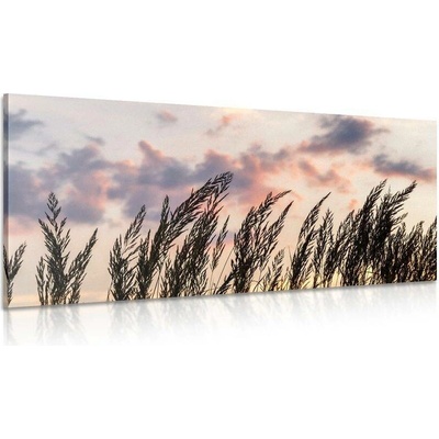 Obraz tráva při zapadajícím slunci - 120x60