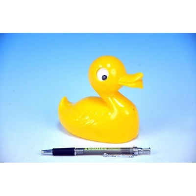 Směr Kačička plast od 12 mesiacov 12 cm