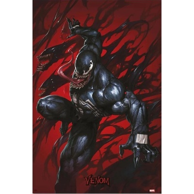 Plagát, Obraz - Venom - Symbions, 61 × 91.5 cm