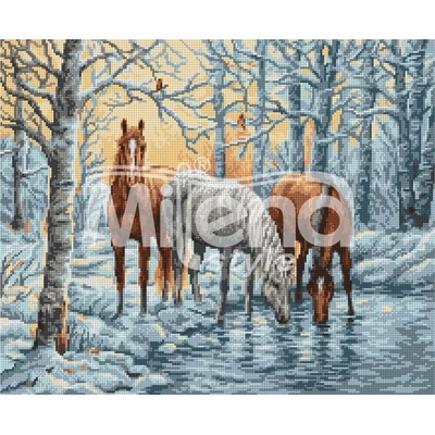 Milena Style Зимно езеро - гоблен със схема конци dmc 1: 1