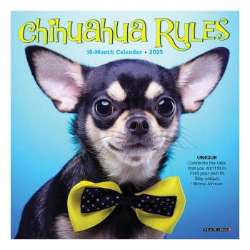 Willow Creek Press Calendars Chihuahua Rules 2026 7 X 7 Mini Wall Calendar | Willow Creek Press