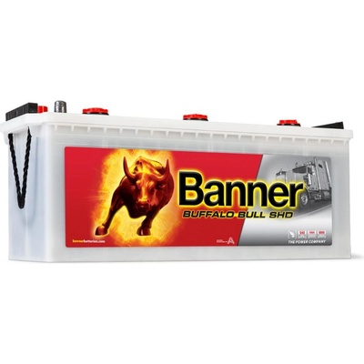 Banner Buffalo Bull 12V 120Ah 720A 62034