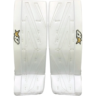 Brian's Netzero 3 Jr