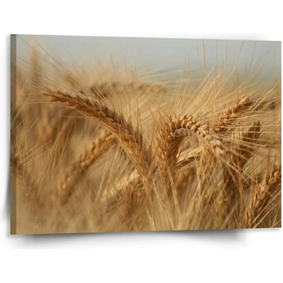 Sablio Obraz Klasy 2 - 150x110 cm
