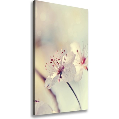 Vertikálny foto obraz canvas Kvety višne 50x100 cm