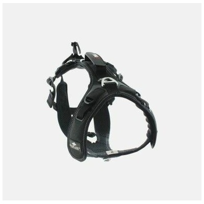 RAIDLIGHT I-DOG POSTROJ PRO PSA