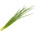 Click & Grow Семена Click and Grow Зелен Лук, 3 броя (SGR105X3)