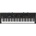 Yamaha CP 73