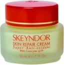 Skeyndor Antioxidante Q-10 Skin Repair Cream antioxidační krém s vitamíny 50 ml