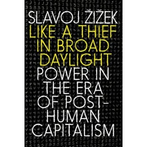 Like a Thief in Broad Daylight: Power in the Era of Post-Human Capitalism (ISBN: 9781609809751)