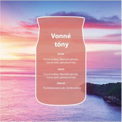 Yankee Candle Signature CLIFFSIDE SUNRISE 368 g