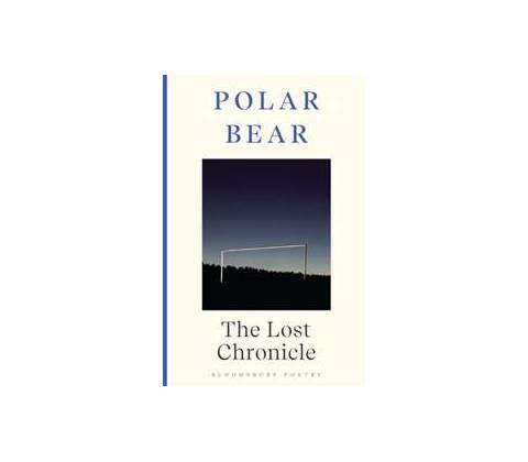 Lost Chronicle
