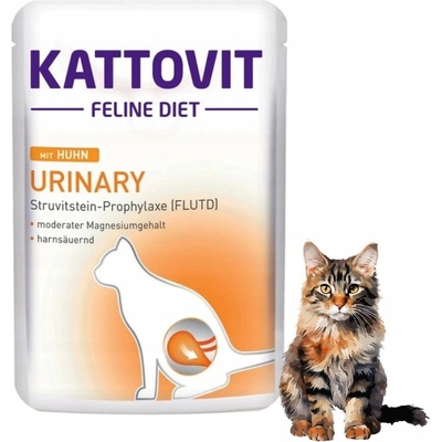 Kattovit Urinary kura 85 g