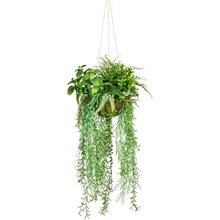 Kokedama mix umelých rastlín XL závesná, 30x80cm