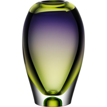 Kosta Boda Ваза Vision 25, 5 см (7041117)
