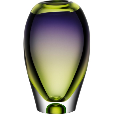 Kosta Boda Ваза Vision 25, 5 см (7041117)