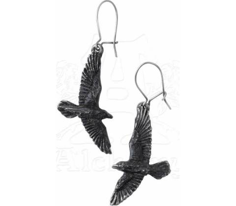 Alchemy Gothic Náušnice Black Raven E333