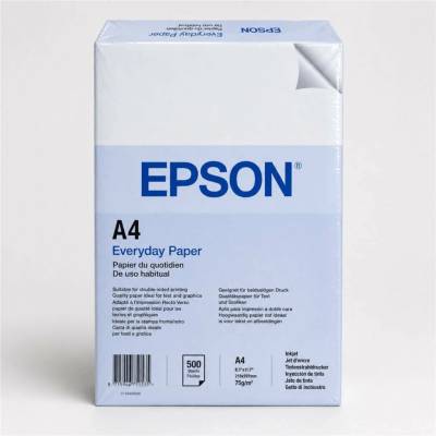 Epson C13S450506