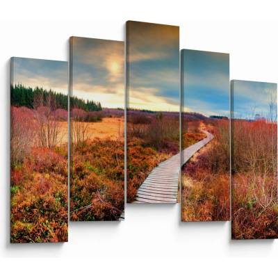 Obraz - Podzimní cesta krajinou, pětidílný 125x90 cm – Hledejceny.cz