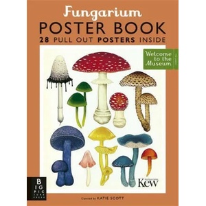Fungarium Poster Book | Ester Gaya (ISBN: 9781787418288)