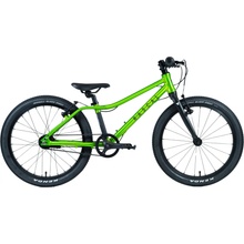 Rascal 3sp Archer 2026