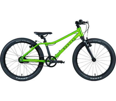 Rascal 3sp Archer 2026