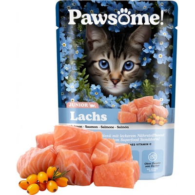 Pawsome Junior s lososem 85 g