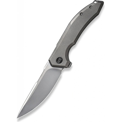 WE Knife Quixotic WE21016-1