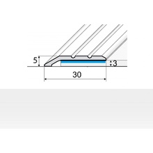 Profil Teamukončovací nájezd Stříbrný E01 3 mm 2,7 m