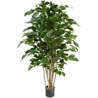Umelá rastlina Ficus benjamina Exotica branched 120 cm
