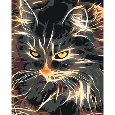 zuty malování podle čísel Nádherně dvoubarevná kočka 80 x 100 cm bez rámu a bez vypnutí plátna