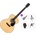 Pasadena PG-100 Premium SET Natural Джъмбо китара