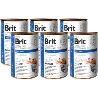 Brit Veterinary Diets GF cat & dog Recovery salmon 6 x 400 g