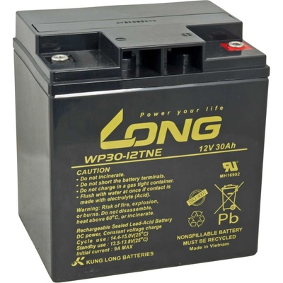 Long WP30-12TNE 12 V 30 Ah