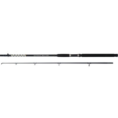 Carp Zoom Bigfish Entrant EBF 2,4 m 200-500 g 2 díly