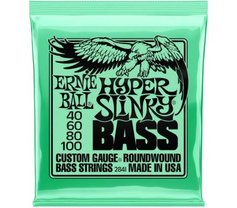 Ernie Ball 2841