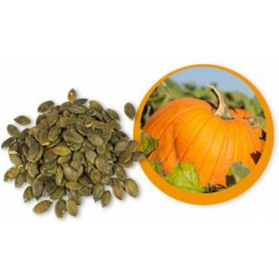 Lifefood Tekvicové semienko BIO 500 g