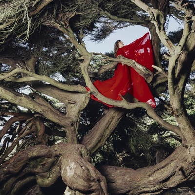 Hannah Frances - Nested In Tangles (Burgundy Coloured) LP