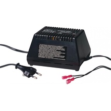 Ansmann ALCS 2-24A