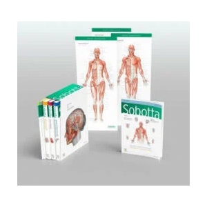 Sobotta Atlas of Anatomy, Package, 17th ed. , English/Latin | Jens Waschke (ISBN: 9780702067648)