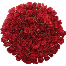 Kytice 100 červených růží RED CALYPSO 50 cm