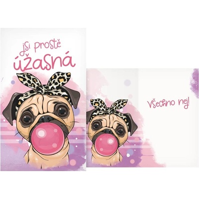 UNIPAP přání dětské M33-105 T PRANI_T_2019 302561