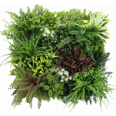 MINI WALL GREEN rich mix of plants 2, dielec 50 x 50 cm