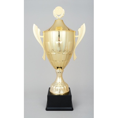 Zlatý sportovní pohár s poklicí 64 cm
