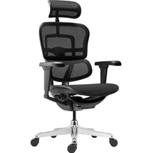 Antares Ergohuman 2 Ultra