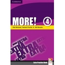 More! Level 4 Extra Practice Book