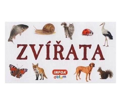 Zvířata