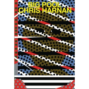 Big Pool | Chris Harnan (ISBN: 9781911081333)